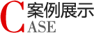 评估案例